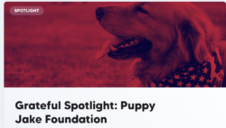 Interview for Grateful, the charitable giving app.